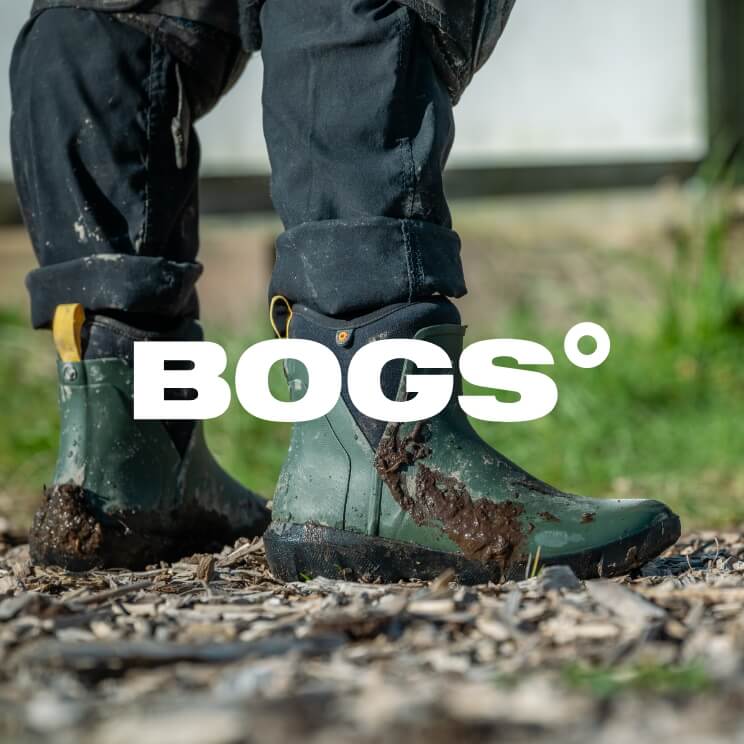 Bogs